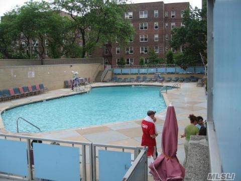 Secret Pools Forest Hills Queens_Birchwood