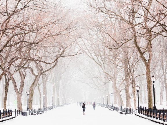 people walking in snow in Central Park New York in the winter