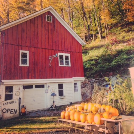 Cabin in the Catskills Upstate New York