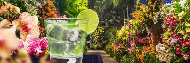 NYC Botanical Gardens Orchid Evening in New York City