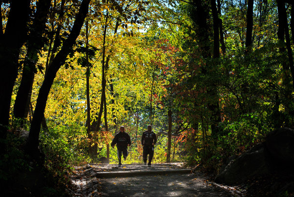 Van-Cortlandt-Park-Running