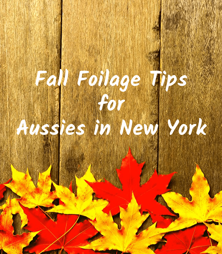 autumn fall leaves red yellow