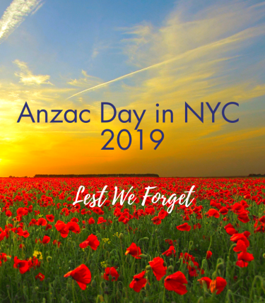 poppy flowers in field at sunrise