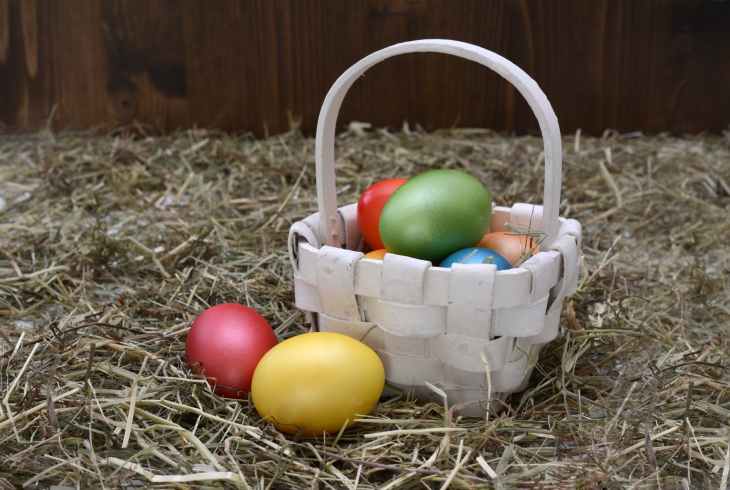 basket colourful decoration easter