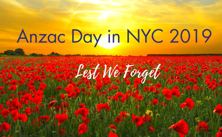 red poppy flowers in field with sunset on Anzac Day