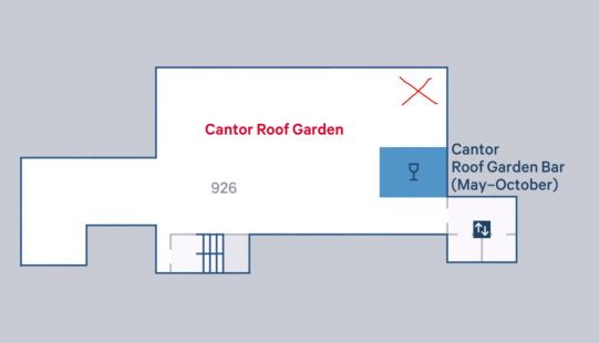 MET rooftop drinks in New York meeting with Australian women