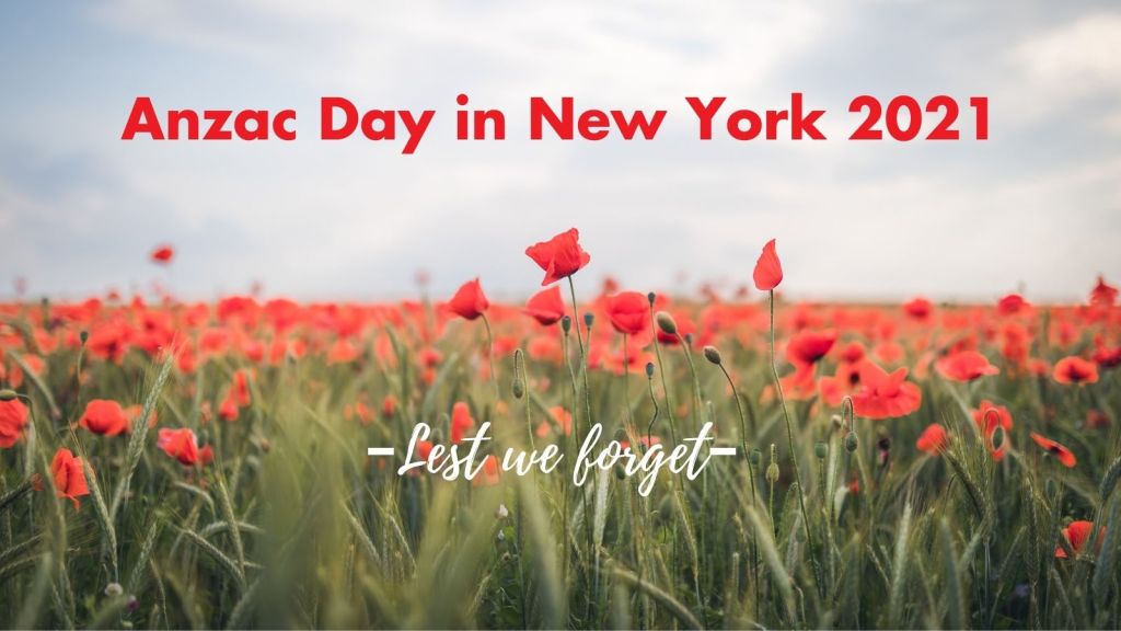 field of red poppies with green grass against a pale blue sky