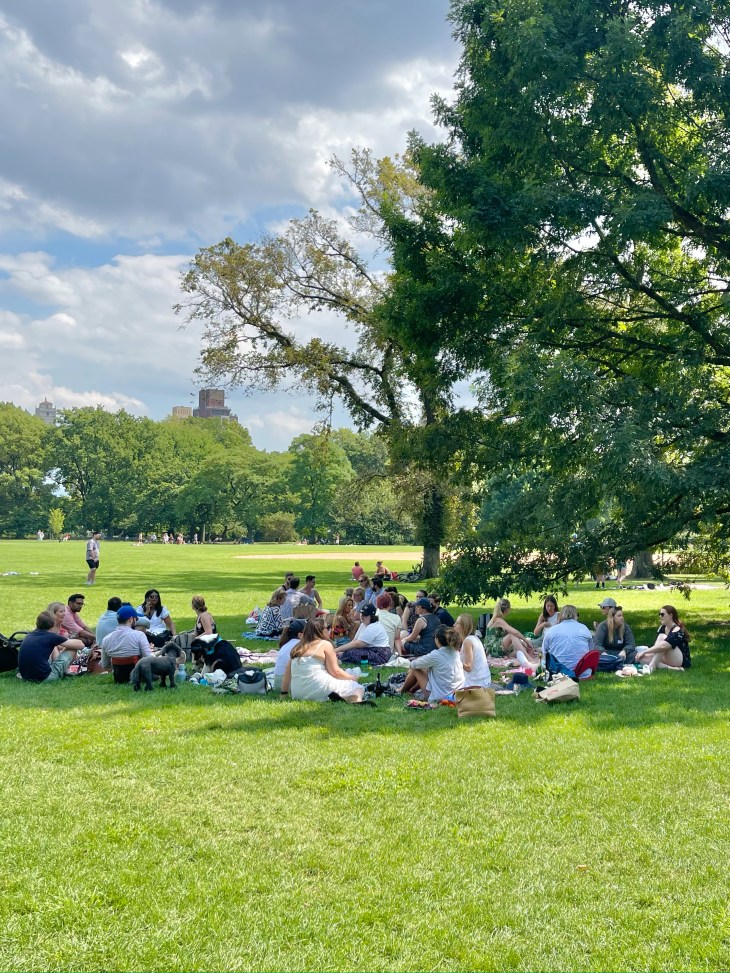 AWNY Picnic in Central Park, August 2022